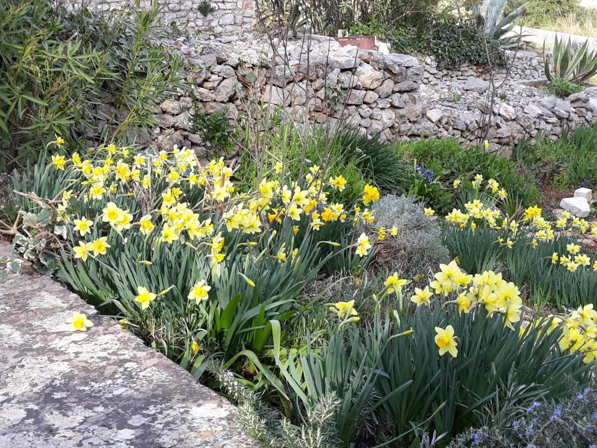 Holiday Home Villa Esperanca Veli Lošinj Kültér fotó