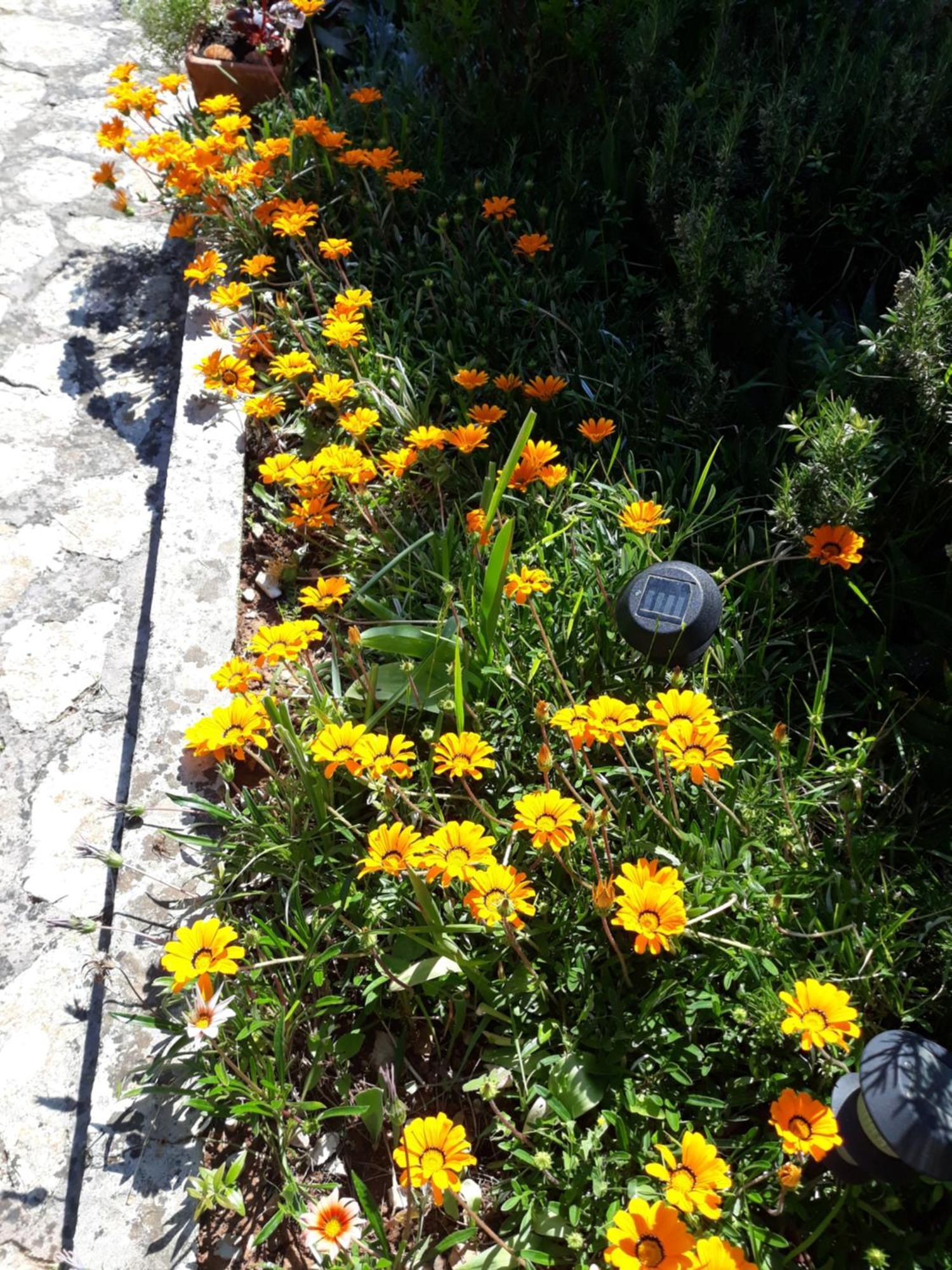 Holiday Home Villa Esperanca Veli Lošinj Kültér fotó